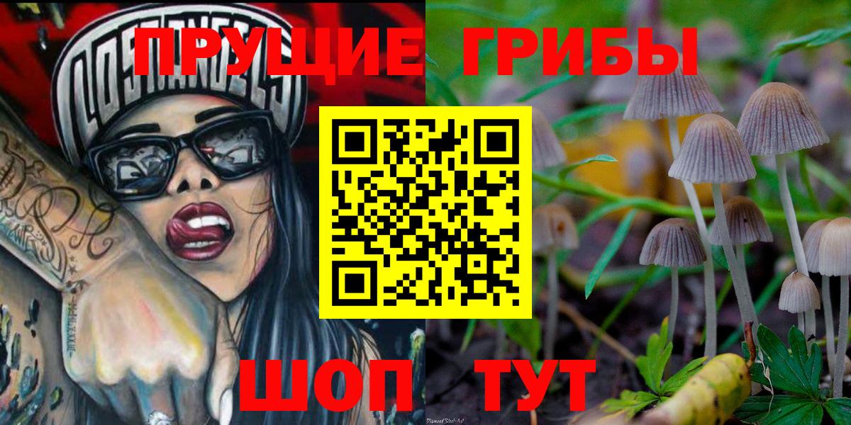 Псилоцибиновые грибы Psilocybe  Вход с VPN  Кирово-Чепецк 