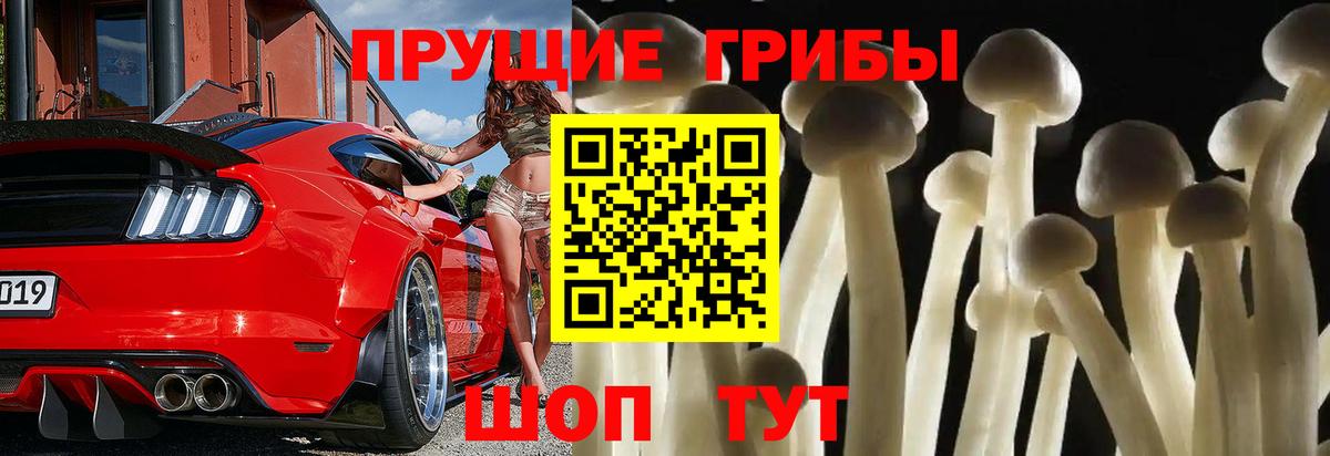 Псилоцибиновые грибы мухоморы Кирово-Чепецк
